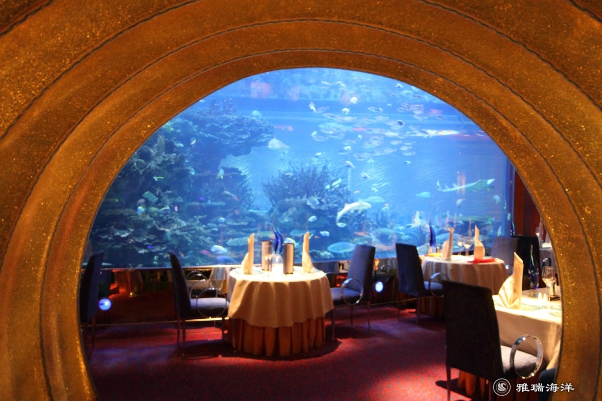 吃鱼的餐厅设计【艺鼎新作】鱼系：经得起“烤”验的鱼文化餐厅